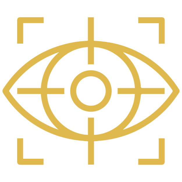 Our Vision